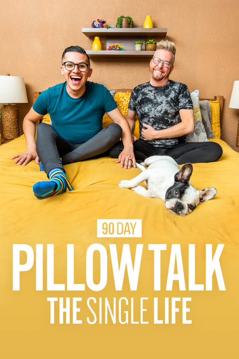Series “90 Day Pillow Talk: The Single Life” — cover
