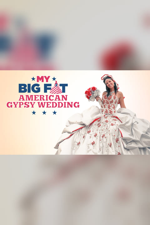 Series “My Big Fat American Gypsy Wedding” — cover