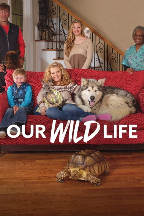 Series “Our Wild Life” — cover