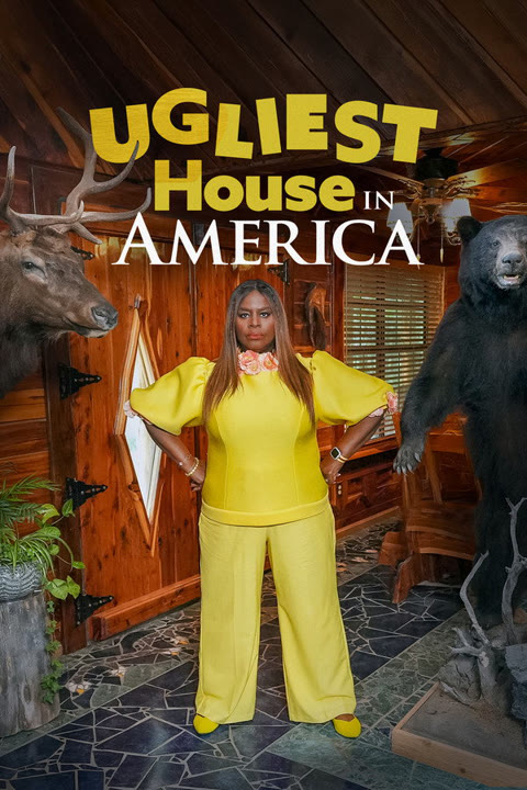 Series “Ugliest House in America” — cover