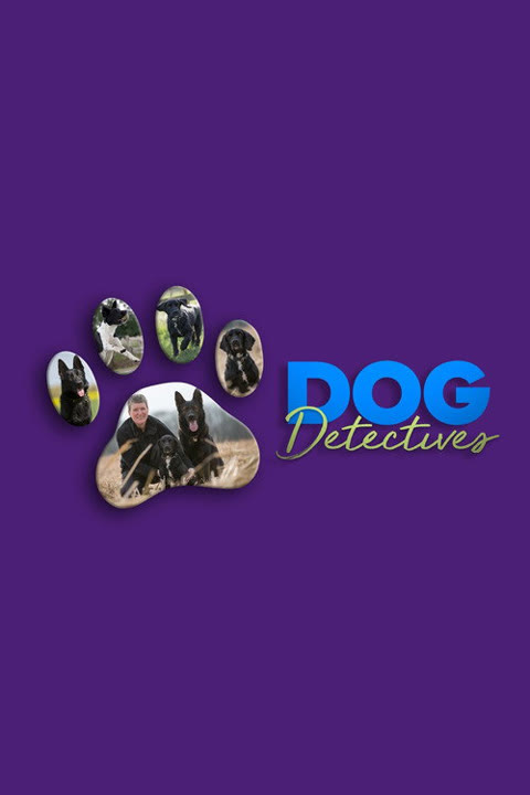 Series “Dog Detectives” — cover