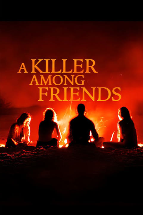 Series “A Killer Among Friends” — cover