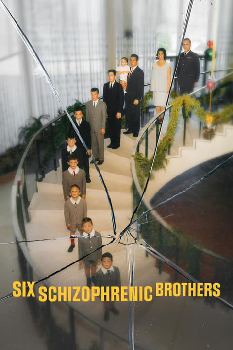 Series “Six Schizophrenic Brothers” — cover