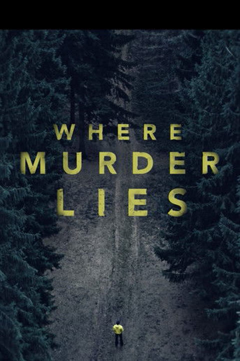 Сериал «В лабиринте лжи» — обложка